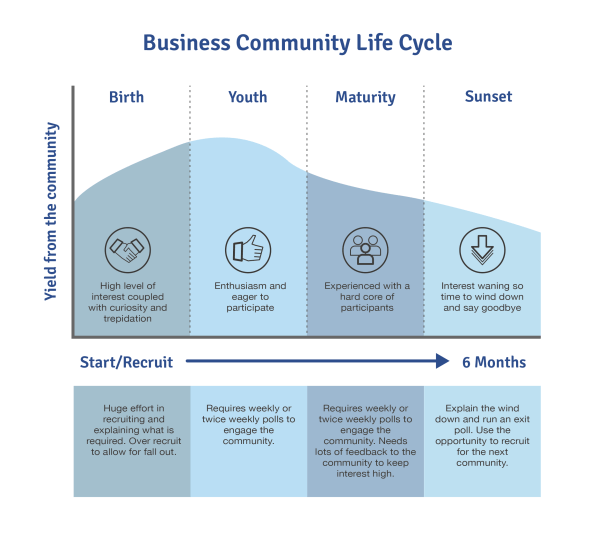 The business community life-cycle