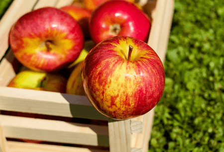 Apples And Brand Health