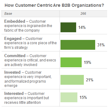 Customer Experience Management Organization Chart