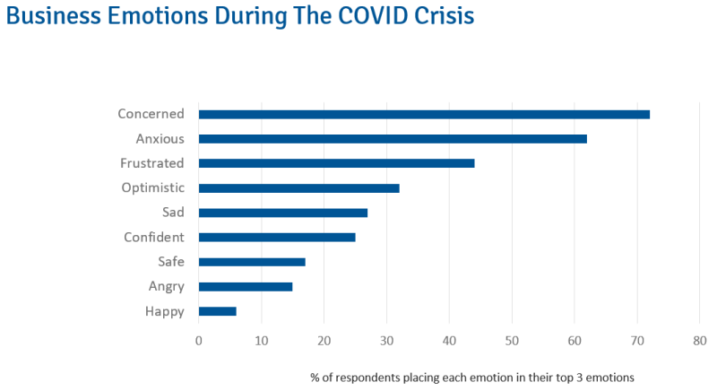 Business Emotions During The COVID-19 Crisis