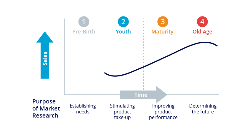 product development research through the product lifecycle