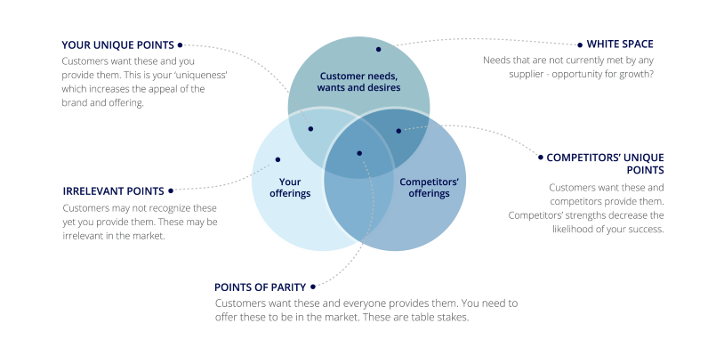 The Three Circles Framework in Strategic B2B Research